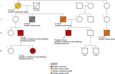 Case report: State-of-the-art risk-modifying treatment of sudden cardiac death in an asymptomatic patient with a mutation in the SCN5A gene and a review of the literature